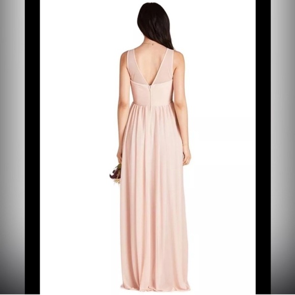 NWT Birdy Grey Ryan Dress in Mesh Pale Blush - Picture 2 of 6